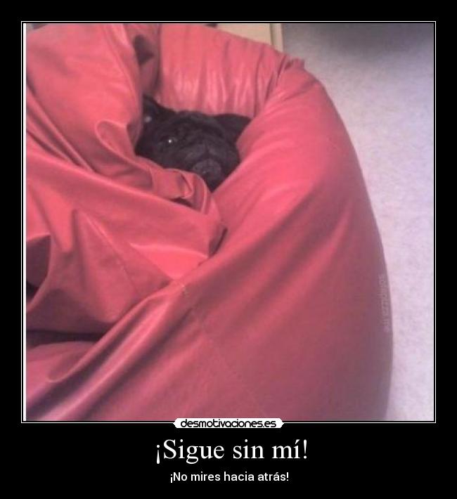 ¡Sigue sin mí! - ¡No mires hacia atrás!