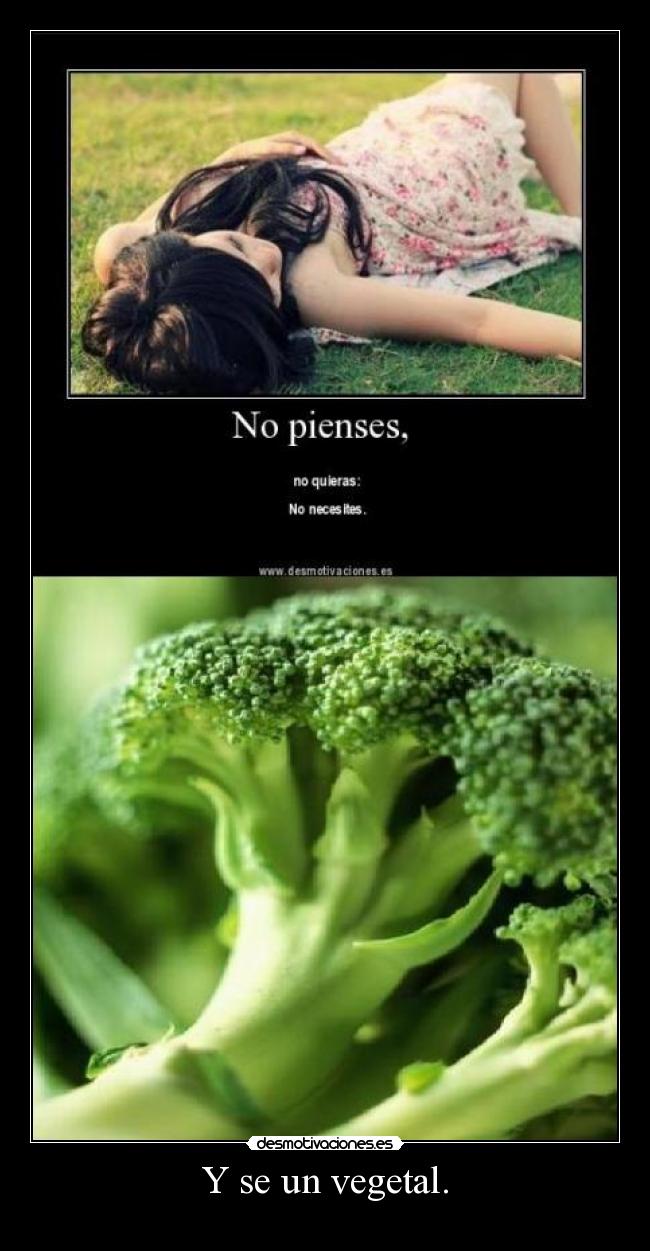 Y se un vegetal. -