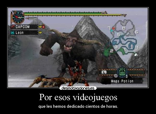 Por esos videojuegos - que les hemos dedicado cientos de horas.