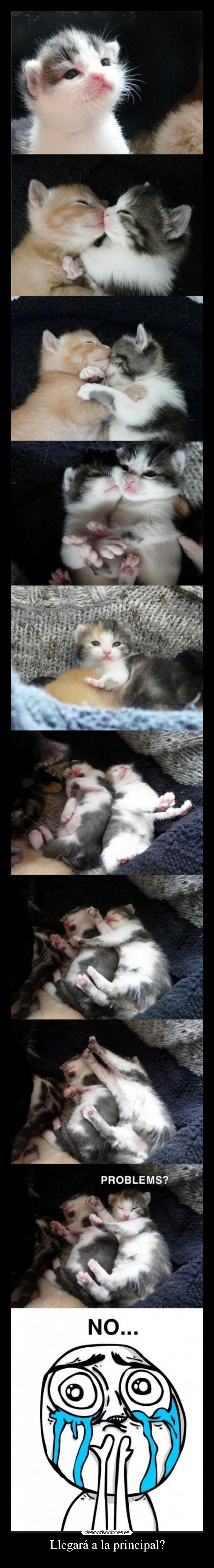 Llegará a la principal? - 