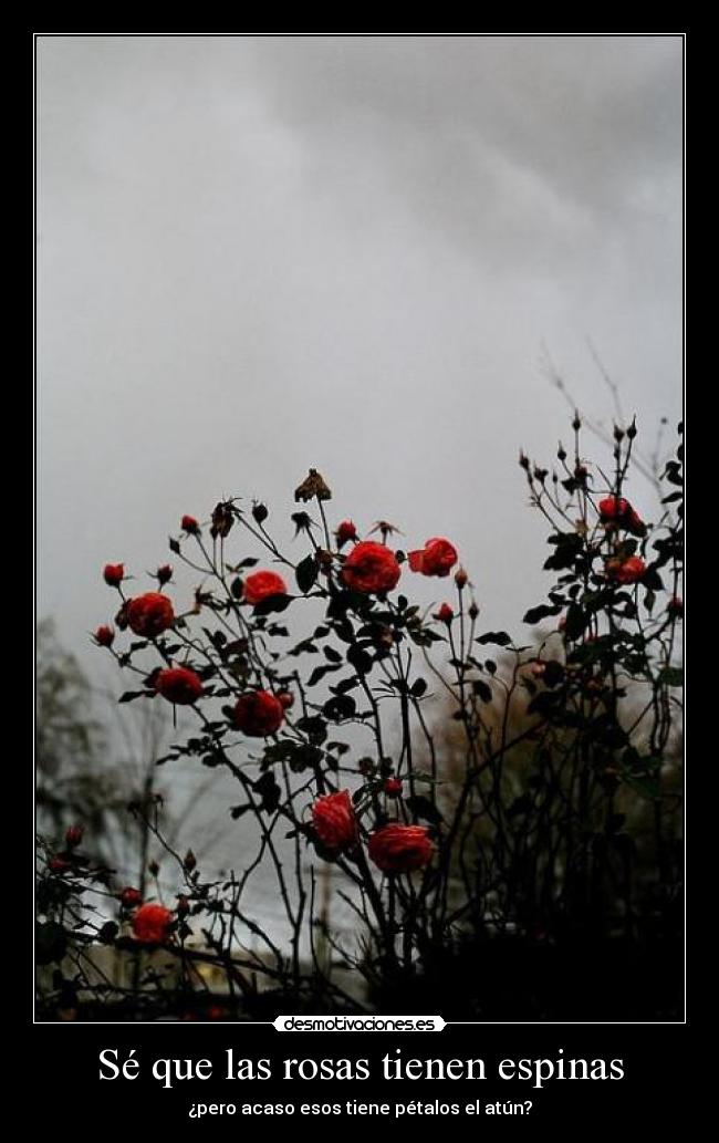 Sé que las rosas tienen espinas - ¿pero acaso esos tiene pétalos el atún?