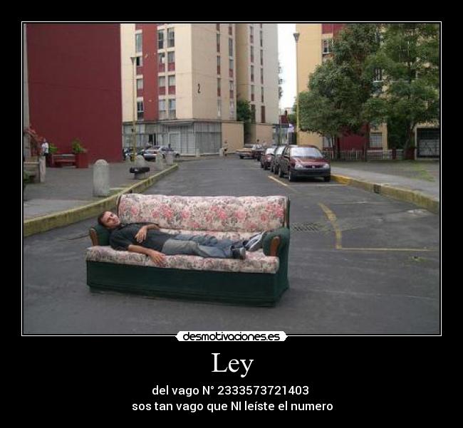 Ley - del vago N° 2333573721403
sos tan vago que NI leíste el numero