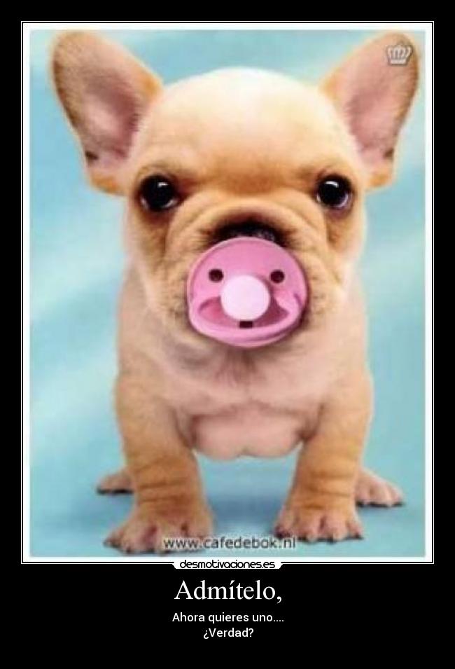 Admítelo, - Ahora quieres uno....
¿Verdad?