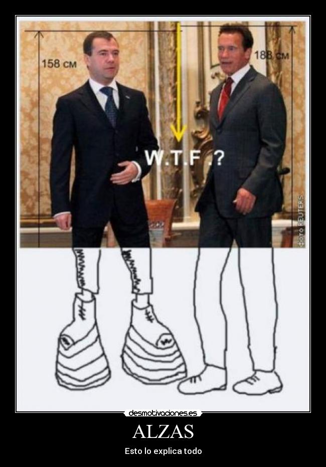 ALZAS - Esto lo explica todo
