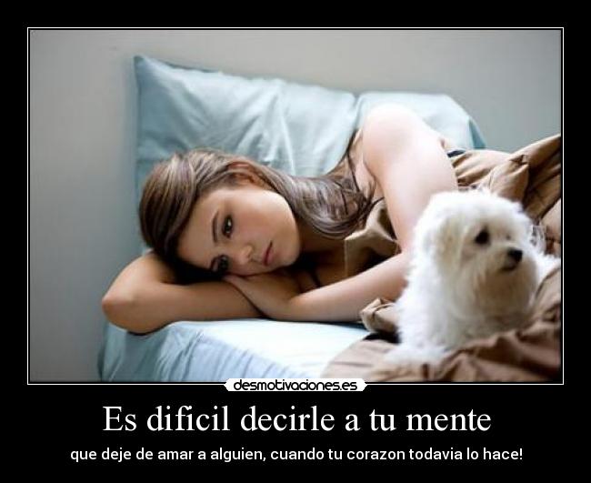 carteles dificil decirle mente desmotivaciones