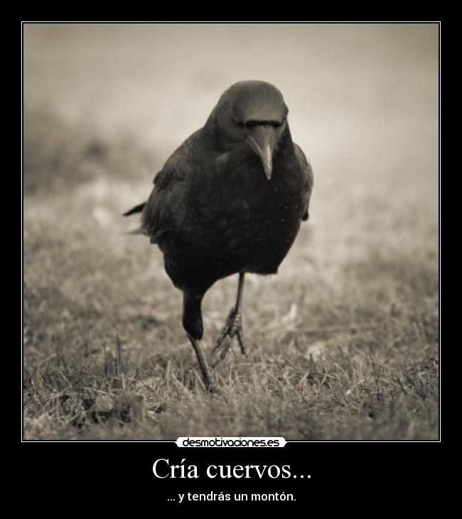 Cría cuervos... - 