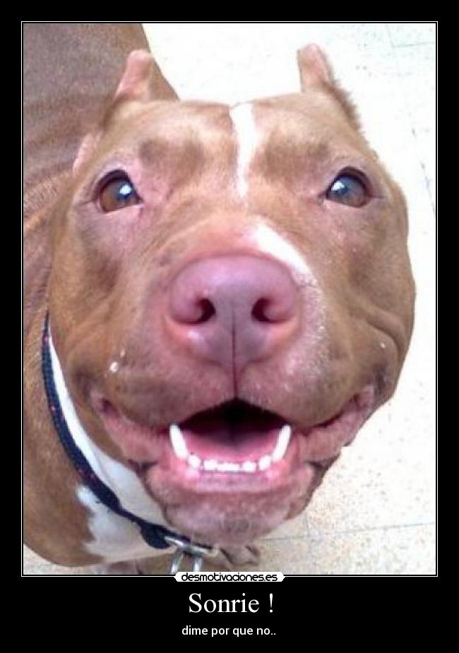 Sonrie ! -
