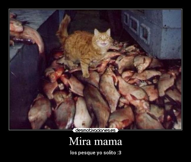 Mira mama - 