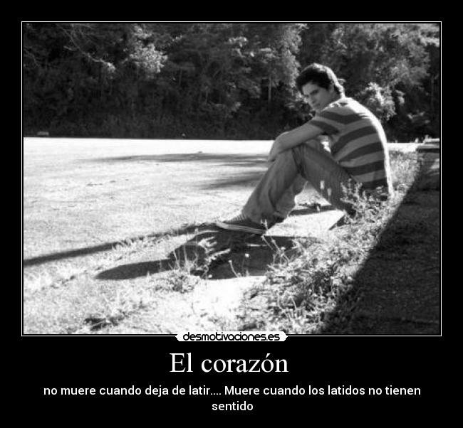 El corazón - no muere cuando deja de latir.... Muere cuando los latidos no tienen sentido