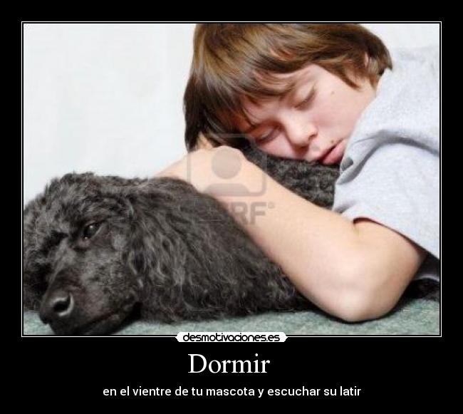 carteles dormir cristiansito desmotivaciones