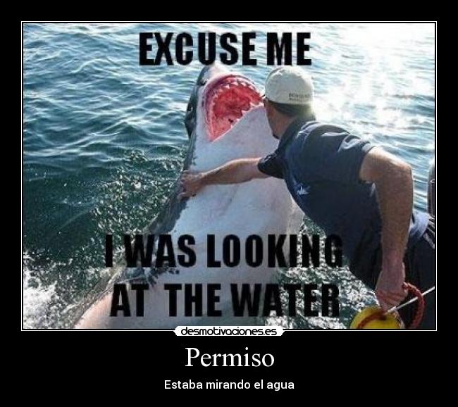 Permiso - Estaba mirando el agua