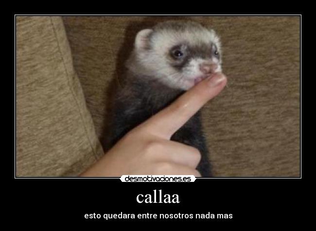 callaa -