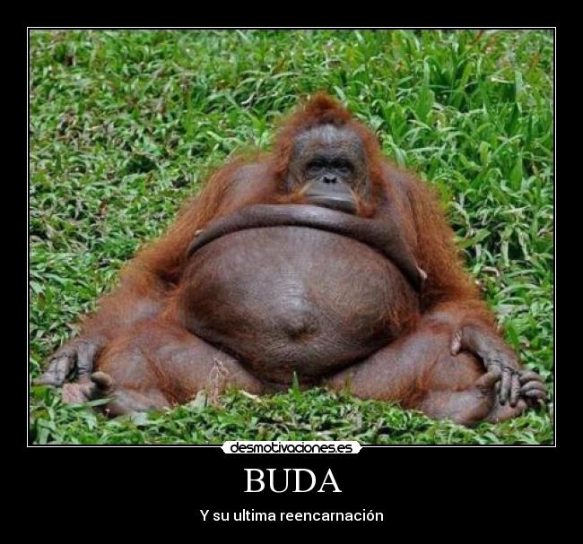 BUDA -