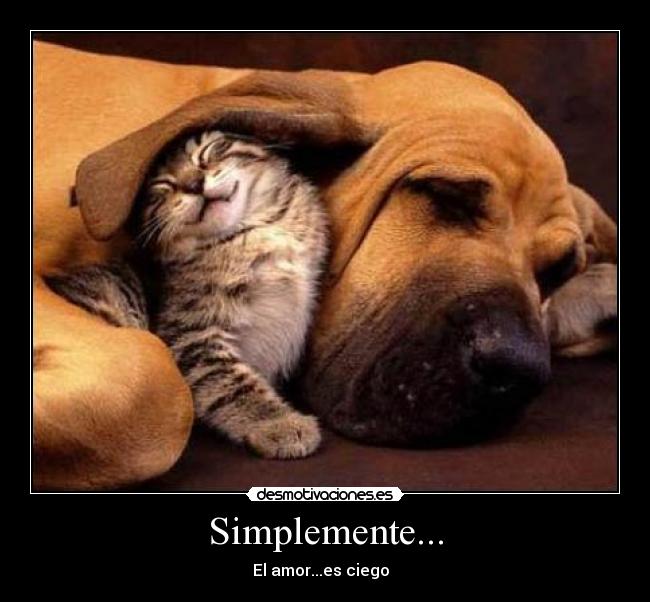 Simplemente... - El amor...es ciego