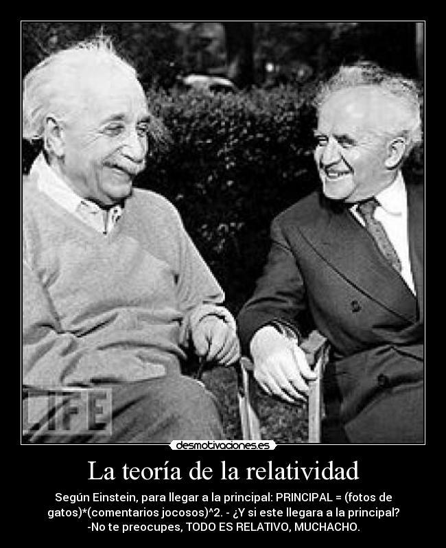 carteles einstein jocoso gatos walt-k relatividad desmotivaciones