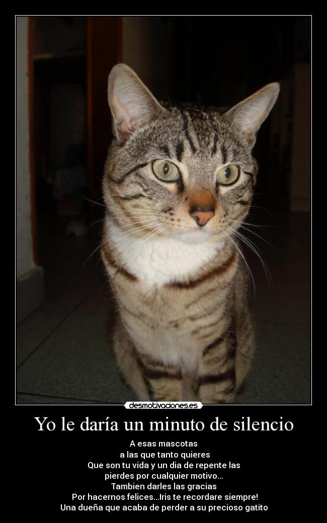 Yo le daría un minuto de silencio - A esas mascotas
a las que tanto quieres
Que son tu vida y un dia de repente las
pierdes por cualquier motivo...
Tambien darles las gracias
Por hacernos felices...Iris te recordare siempre!
Una dueña que acaba de perder a su precioso gatito