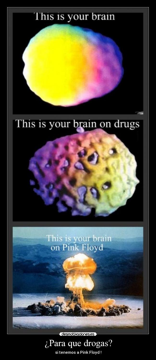 ¿Para que drogas? -