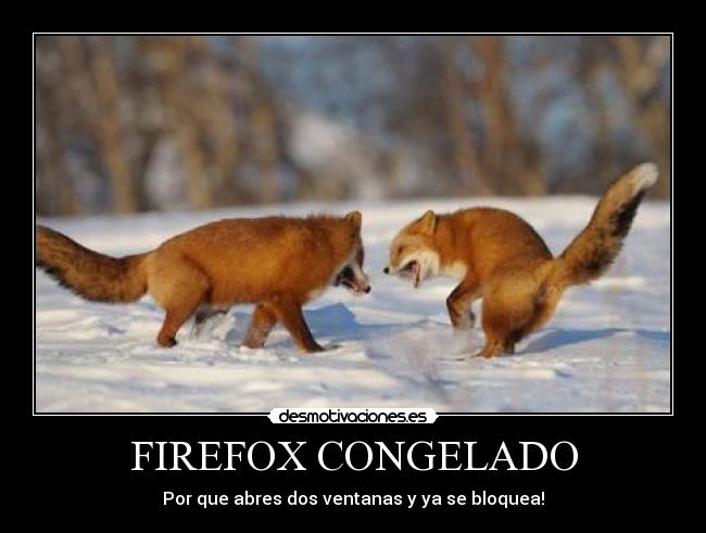 carteles bloquea java firefox congelar desmotivaciones