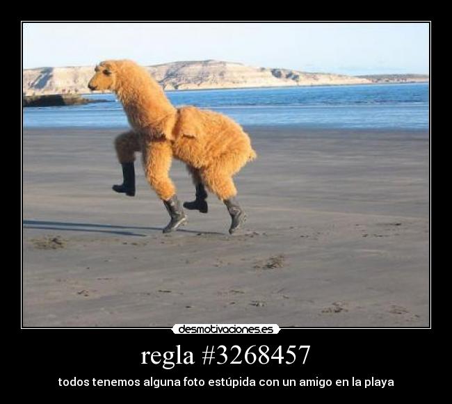 regla #3268457 - todos tenemos alguna foto estúpida con un amigo en la playa