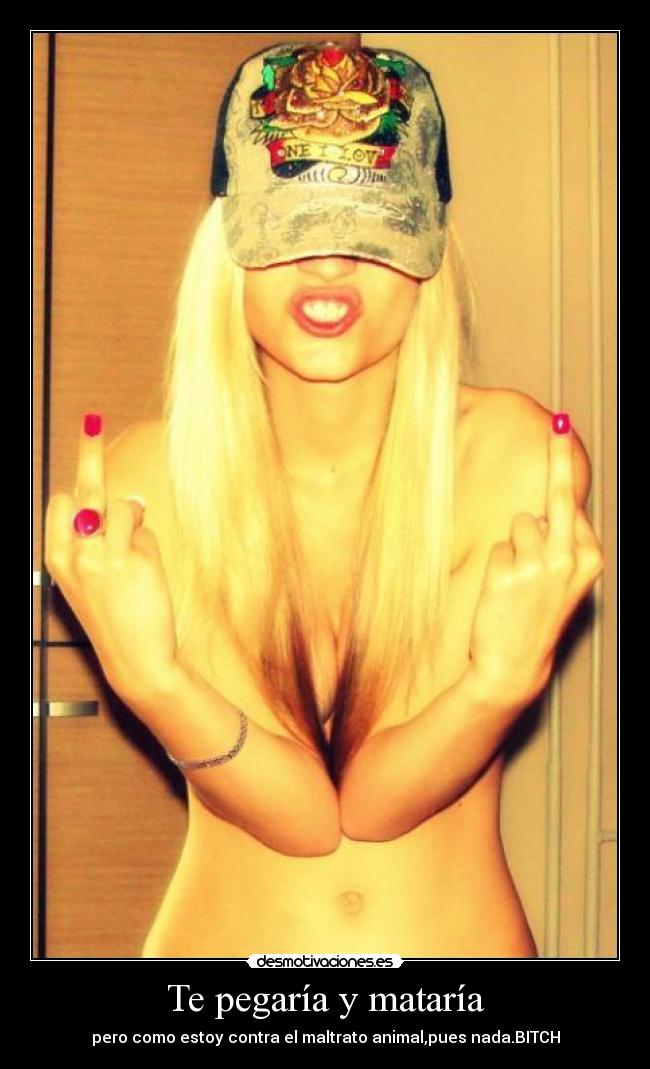 carteles bitch maltrato desmotivaciones