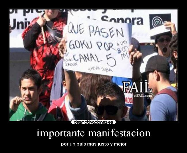 importante manifestacion - 