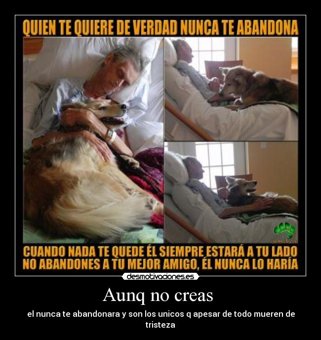 Aunq no creas - el nunca te abandonara y son los unicos q apesar de todo mueren de tristeza