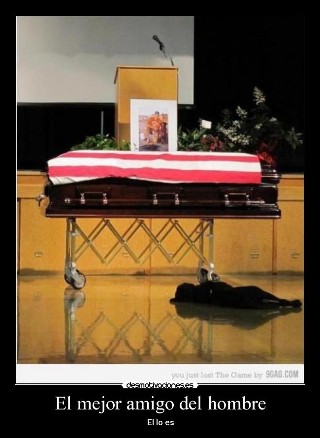 El mejor amigo del hombre -