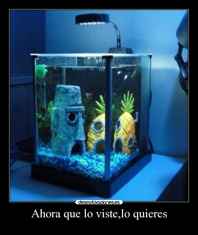 Ahora que lo viste,lo quieres -