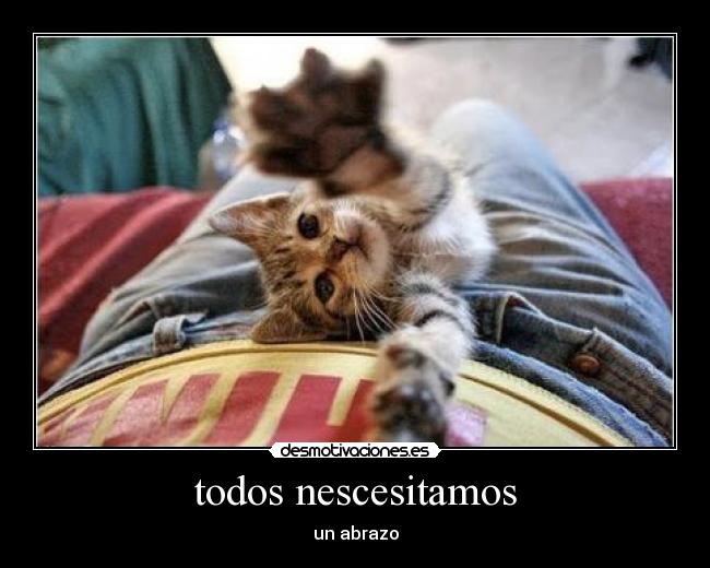 todos nescesitamos - 
