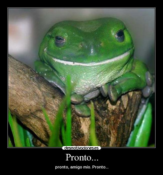 Pronto... - 