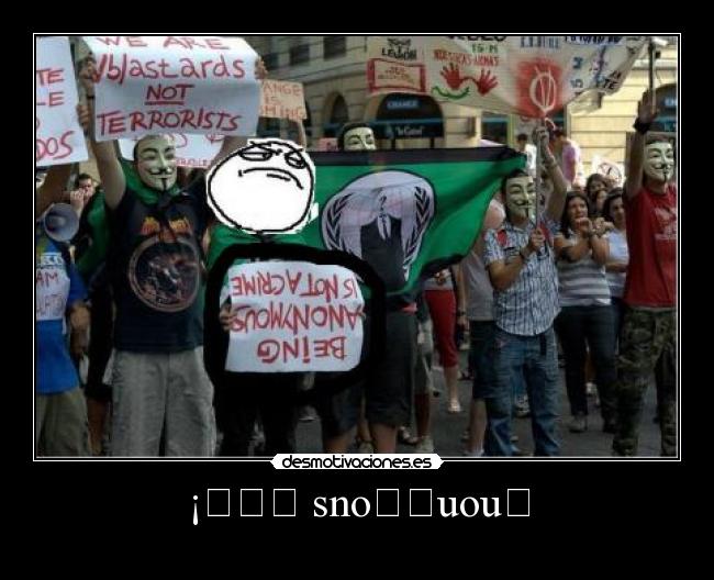 ¡ɐǝʎ snoɯʎuouɐ -