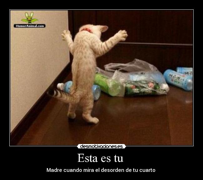 Esta es tu - Madre cuando mira el desorden de tu cuarto