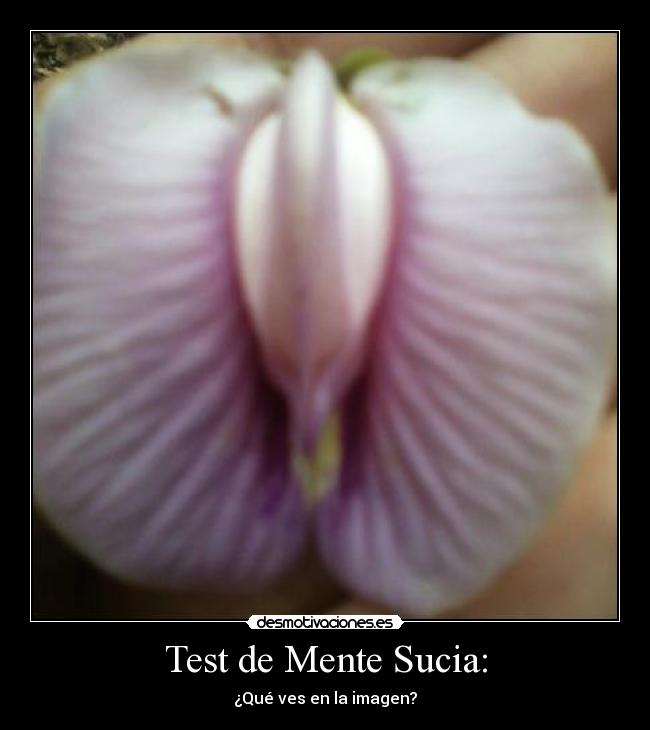 Test de Mente Sucia: - 