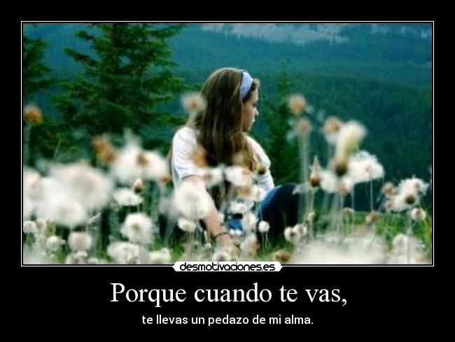 Porque cuando te vas, - te llevas un pedazo de mi alma.