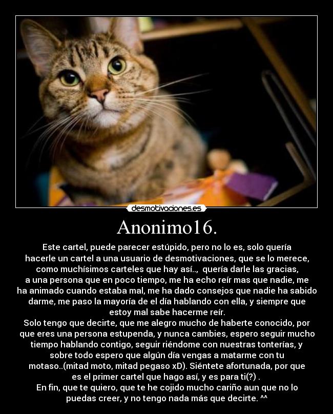 Anonimo16. - Este cartel, puede parecer estúpido, pero no lo es, solo quería
hacerle un cartel a una usuario de desmotivaciones, que se lo merece,
como muchísimos carteles que hay así..,  quería darle las gracias,
a una persona que en poco tiempo, me ha echo reír mas que nadie, me
ha animado cuando estaba mal, me ha dado consejos que nadie ha sabido
darme, me paso la mayoría de el día hablando con ella, y siempre que
estoy mal sabe hacerme reír.
Solo tengo que decirte, que me alegro mucho de haberte conocido, por
que eres una persona estupenda, y nunca cambies, espero seguir mucho
tiempo hablando contigo, seguir riéndome con nuestras tonterías, y
sobre todo espero que algún día vengas a matarme con tu
motaso..(mitad moto, mitad pegaso xD). Siéntete afortunada, por que
es el primer cartel que hago así, y es para ti(?) . 
En fin, que te quiero, que te he cojido mucho cariño aun que no lo
puedas creer, y no tengo nada más que decirte. ^^