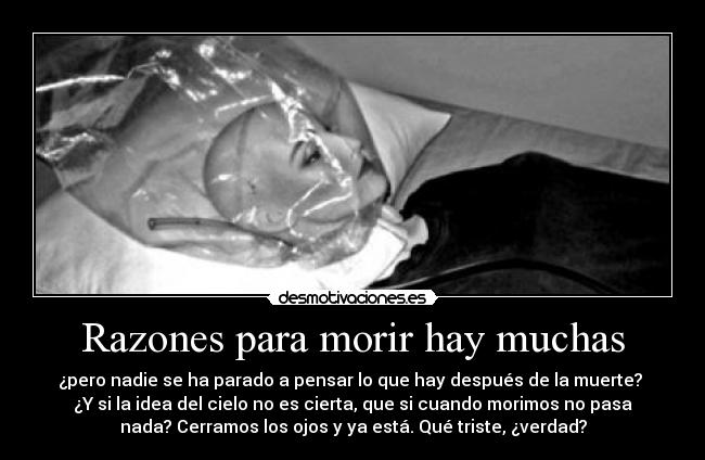 Razones para morir hay muchas - ¿pero nadie se ha parado a pensar lo que hay después de la muerte?
¿Y si la idea del cielo no es cierta, que si cuando morimos no pasa
nada? Cerramos los ojos y ya está. Qué triste, ¿verdad?
