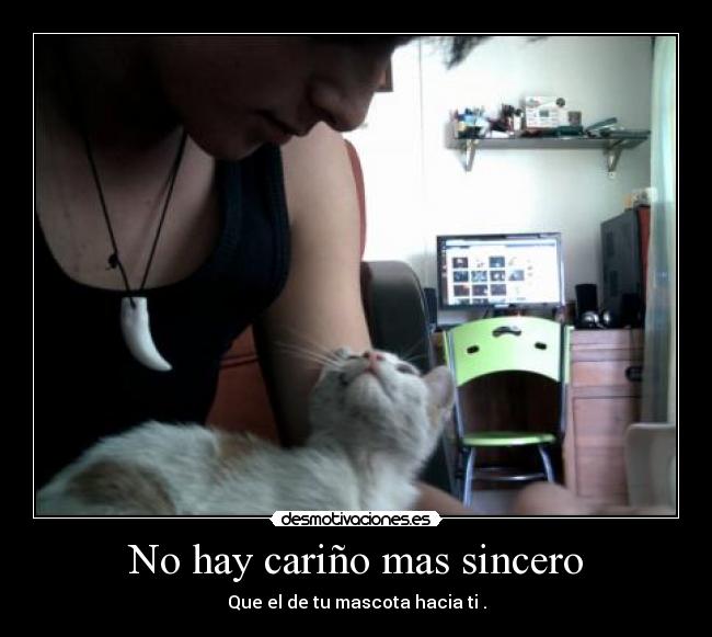 No hay cariño mas sincero - Que el de tu mascota hacia ti .