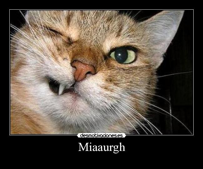 Miaaurgh -