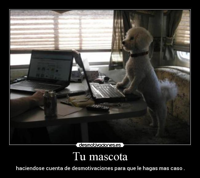 Tu mascota - haciendose cuenta de desmotivaciones para que le hagas mas caso .