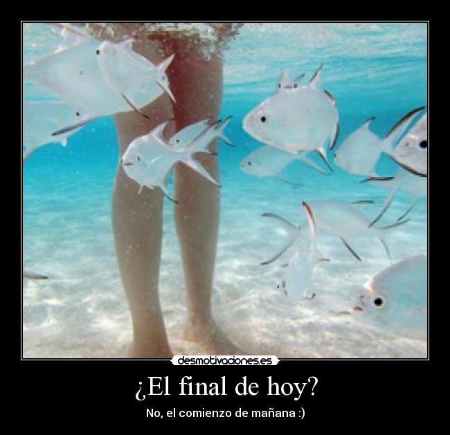 ¿El final de hoy? - 