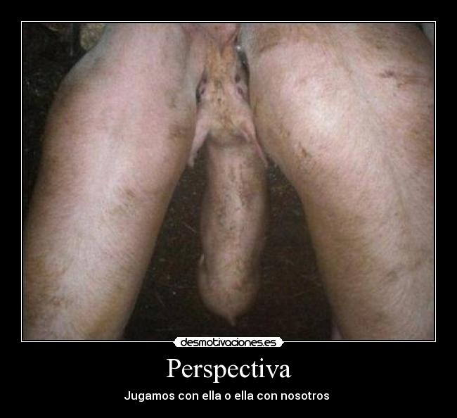 Perspectiva - 