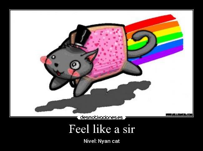 carteles feel like sir nyan cat gato nivel desmotivaciones