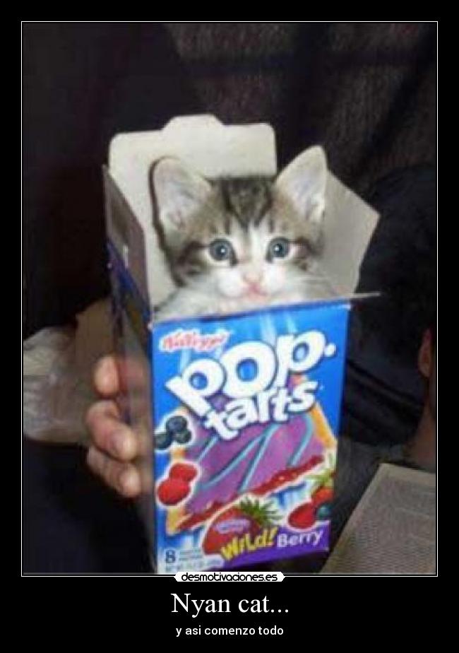 Nyan cat... -