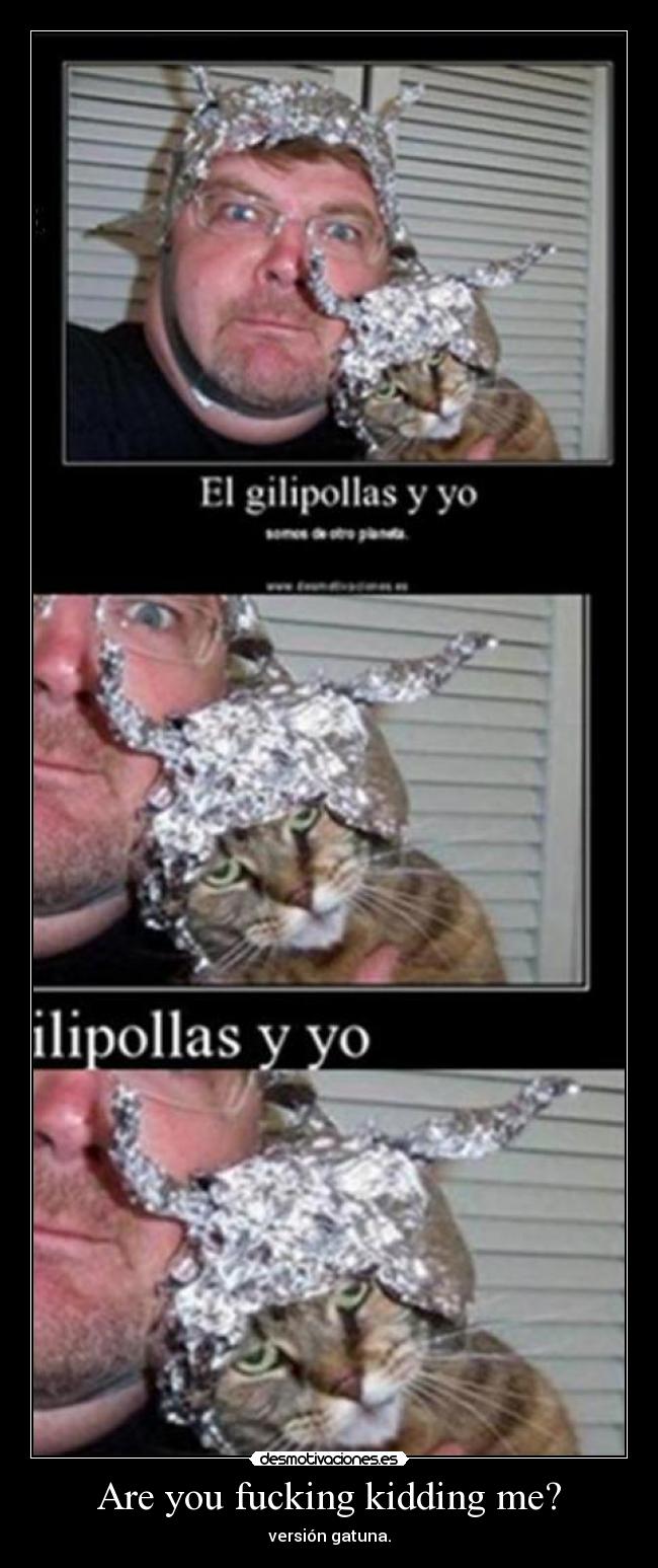 Are you fucking kidding me? - versión gatuna.
