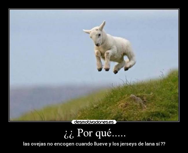 ¿¿ Por qué..... - 