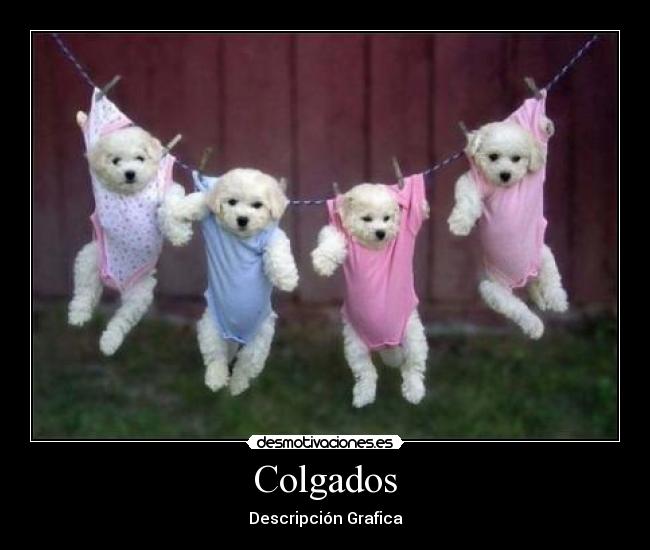 Colgados - 