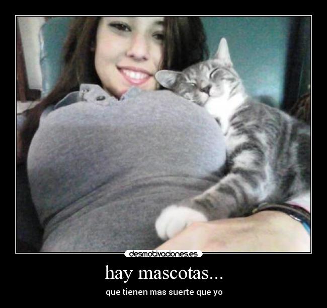 hay mascotas... - que tienen mas suerte que yo