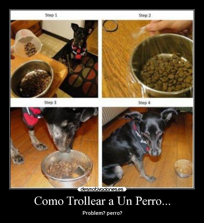 Como Trollear a Un Perro... -