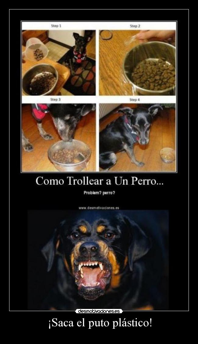 ¡Saca el puto plástico! -