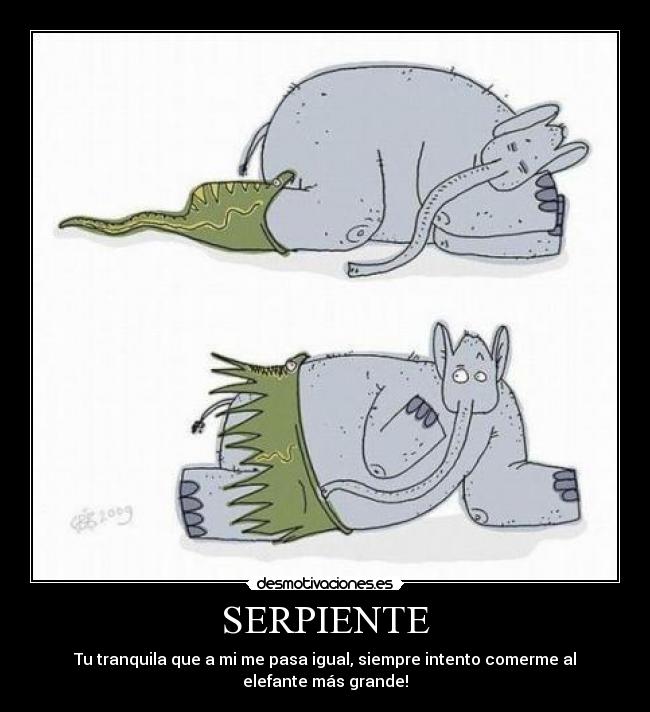 SERPIENTE - Tu tranquila que a mi me pasa igual, siempre intento comerme al elefante más grande!